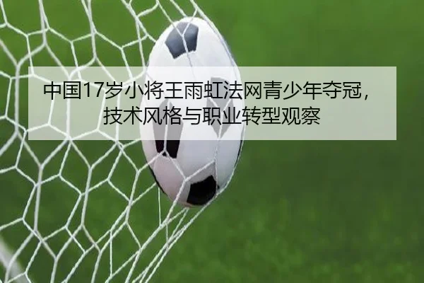 zhong-guo-sui-xiao-jiang-wang-yu-hong-fa-wang-qing-shao-nian-duo-guan-ji-shu-feng-ge-yu-zhi-ye-zhuan-xing-guan-cha-3-429.jpg
